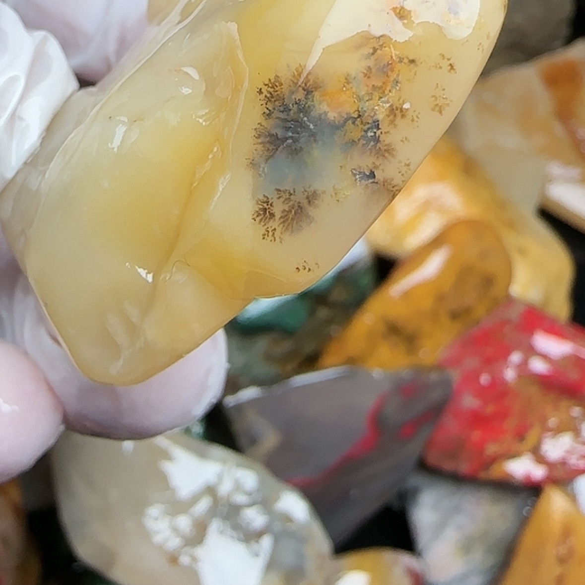 【闪购商品】昌化石江****也