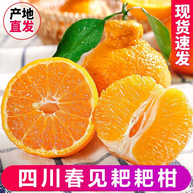 【与辉同行东方甄选】正宗春见四川春见耙耙柑丑八怪手剥现摘直发