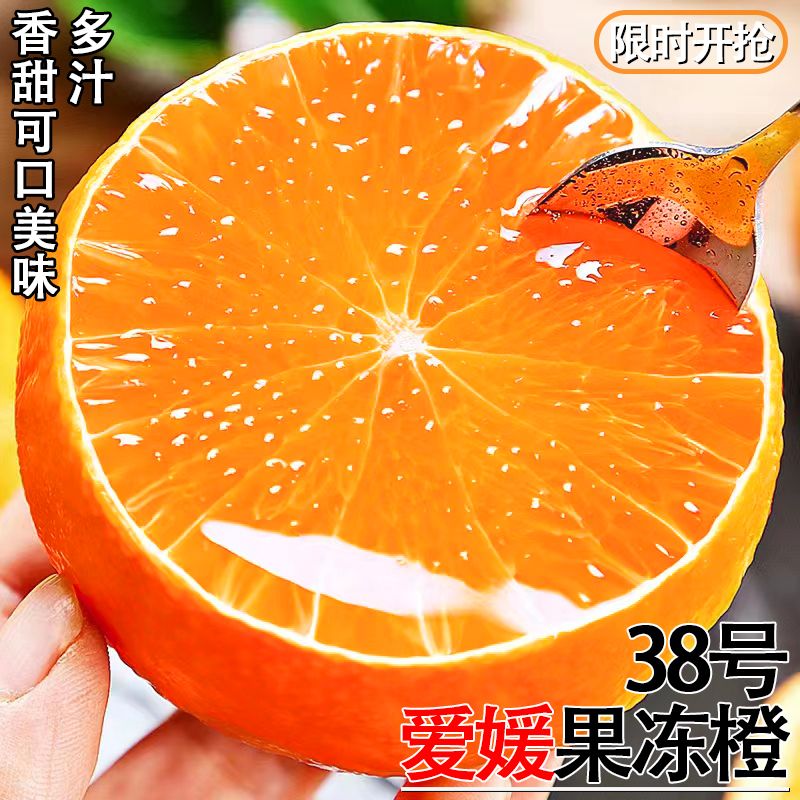 【与辉同行东方甄选】爱媛果冻橙四川眉山核心产区 直采直发多汁果