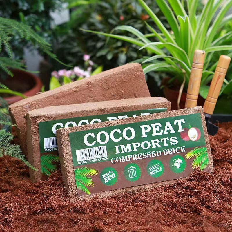 【椰砖营养土】天然基质养花种菜必备大块椰砖 