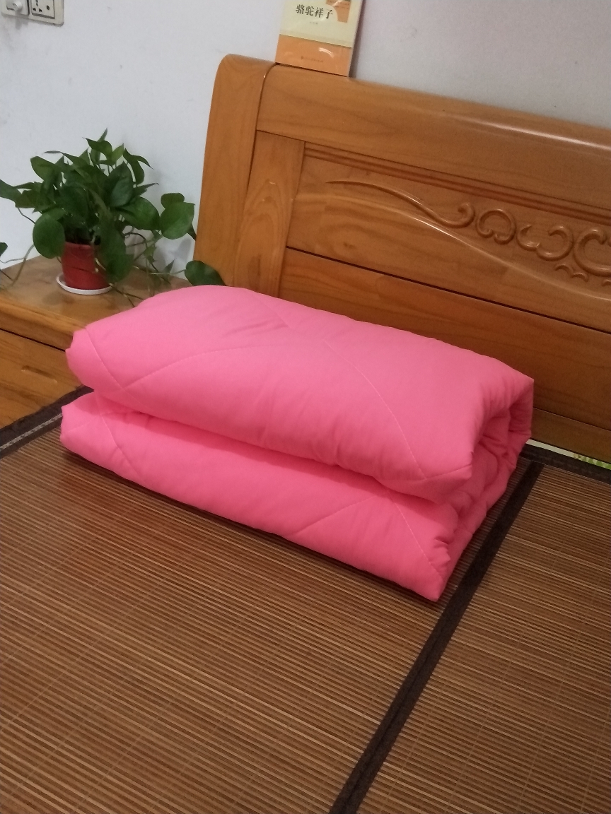 12斤冬天羽丝棉被被子冬被加厚保暖丝绵太空棉被芯单双人宿舍学生