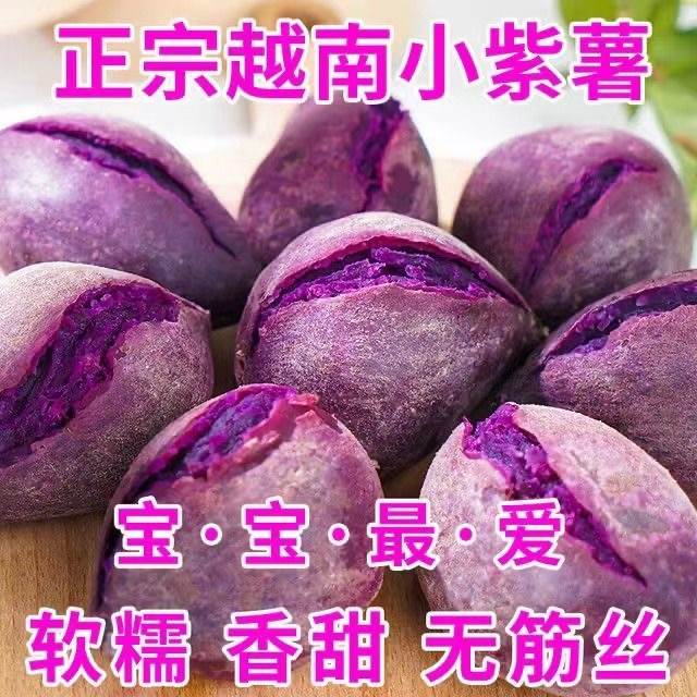 【振友】越南品种小紫薯新鲜现挖红薯地瓜农家番薯板栗薯正宗珍珠紫