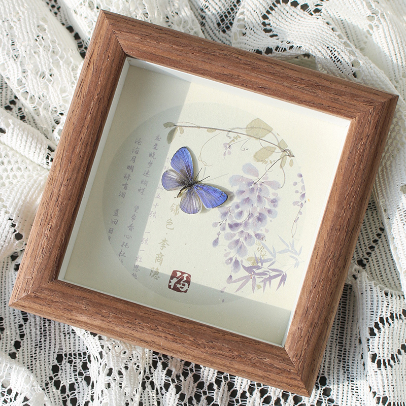 妩灰蝶紫色天然蝴蝶昆虫标本成品相框客厅家庭新中式挂画复古风