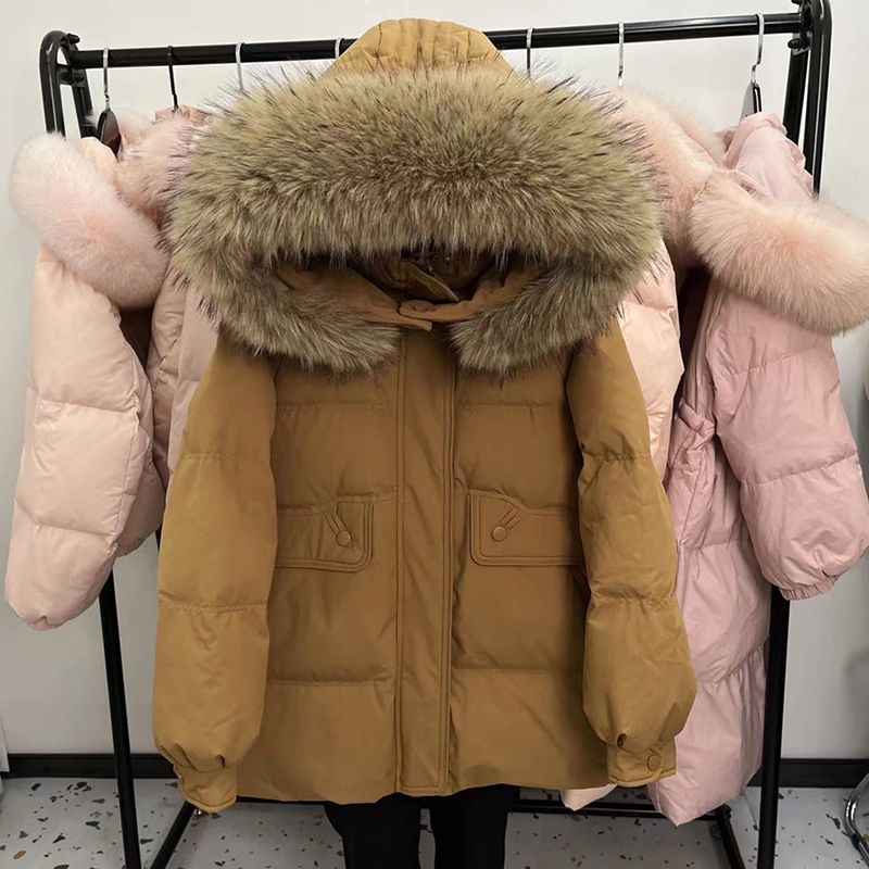 波司澄年新款羽绒服女短款韩版大毛领纯色加厚宽松显瘦保暖连帽外