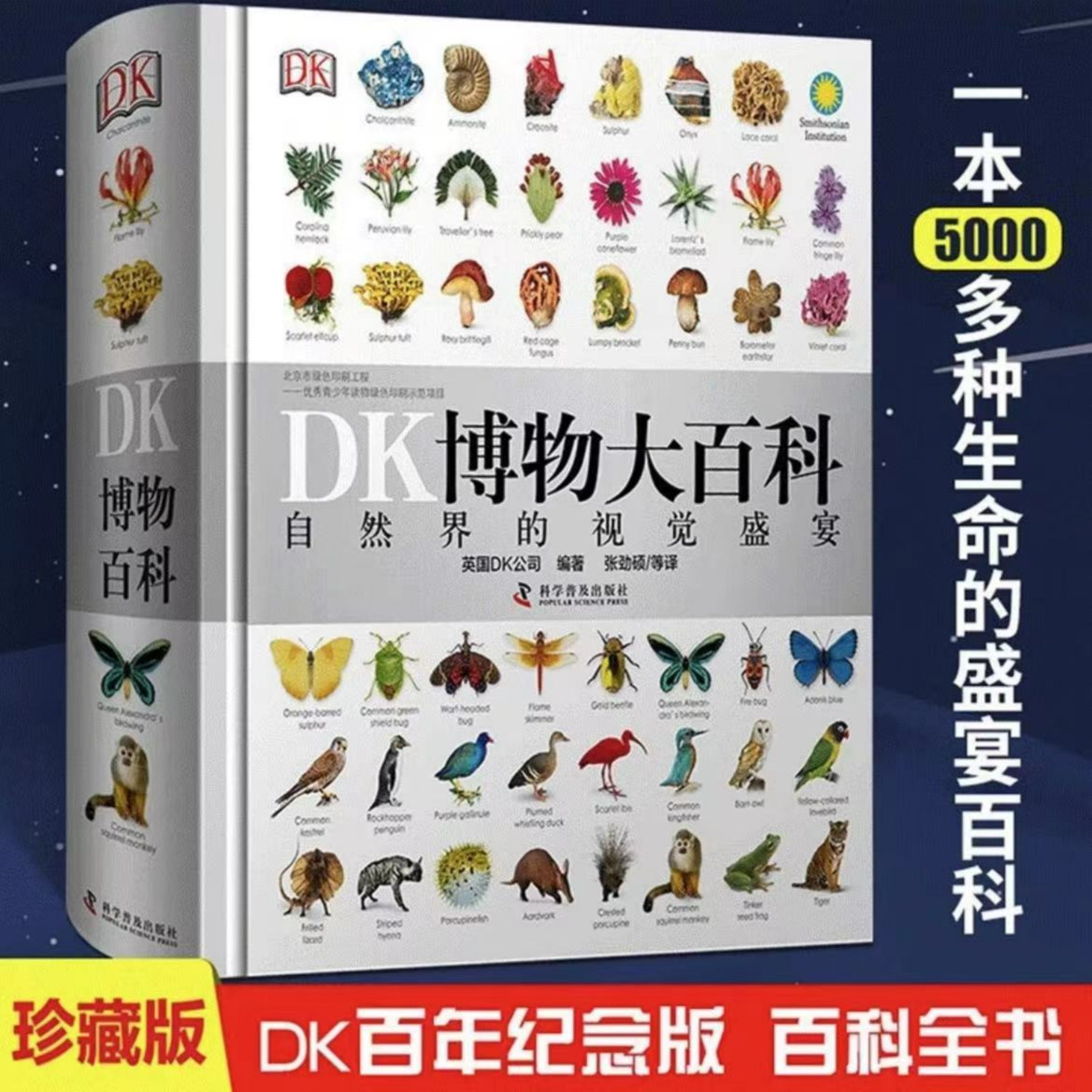 DK博物大百科全书正版 dk儿童大百科书籍课外书儿童趣味百科全书