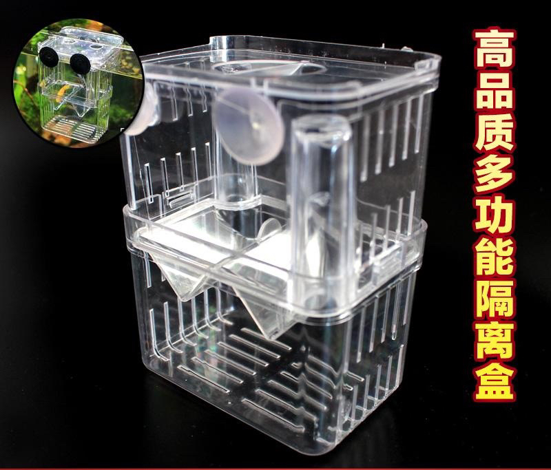 隔离盒 孔雀鱼繁殖期 隔离保护小鱼