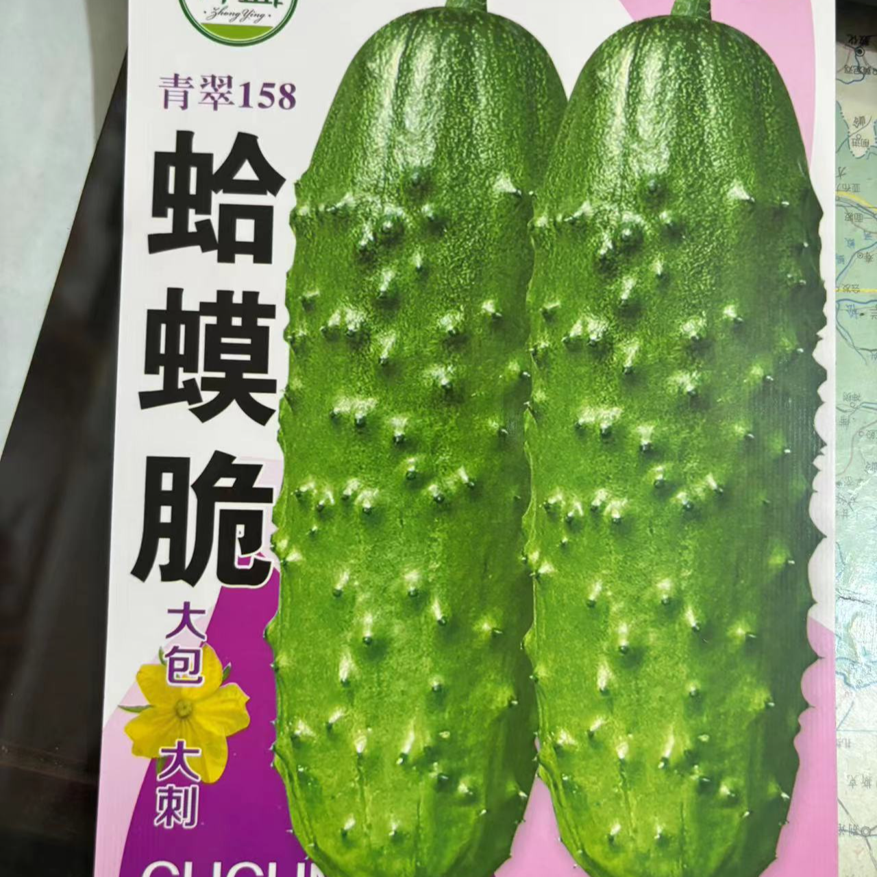 蛤蟆脆大包大刺黄瓜