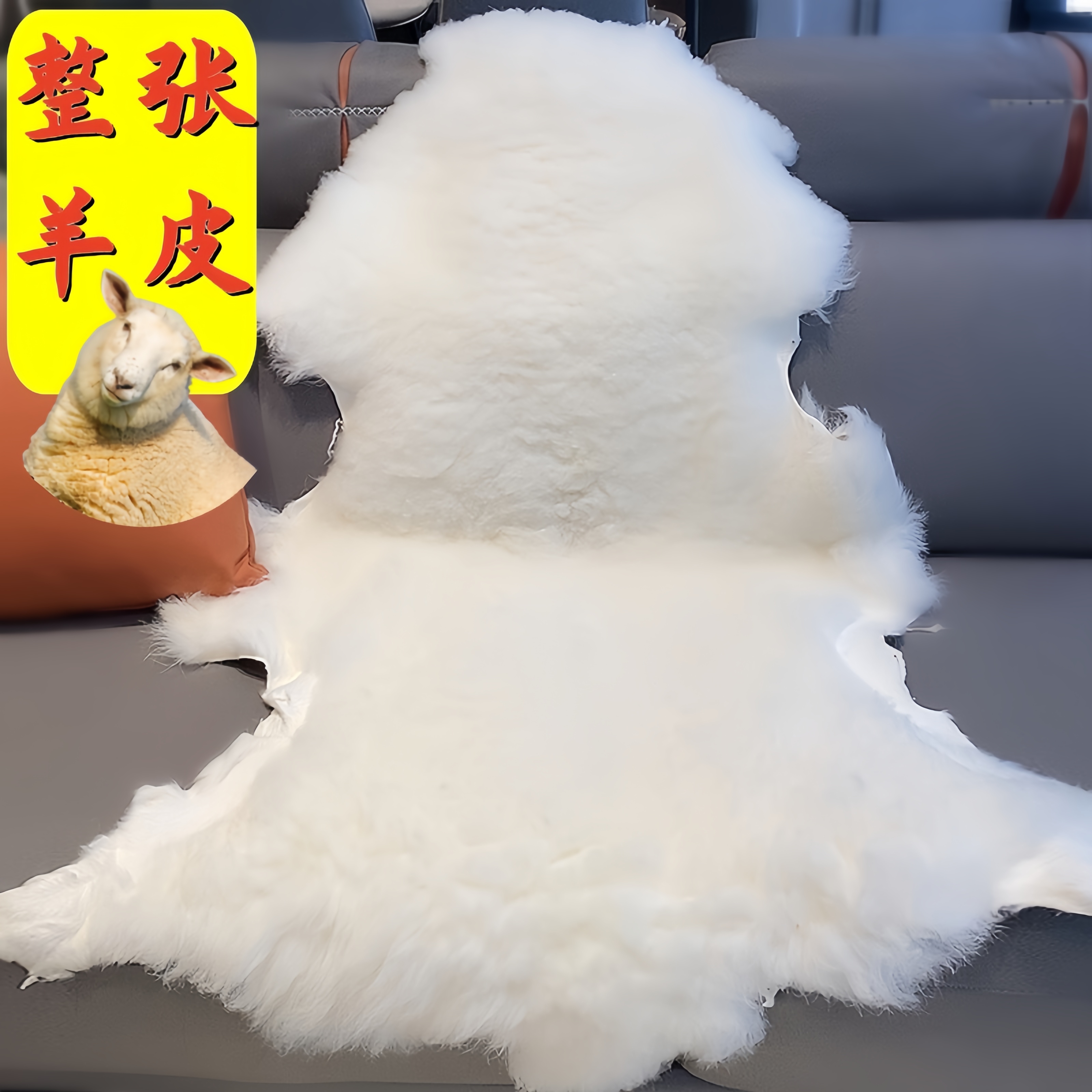 整张羊皮 皮毛一体羊毛毯地垫家用沙发垫榻榻米床垫 可做衣服装饰