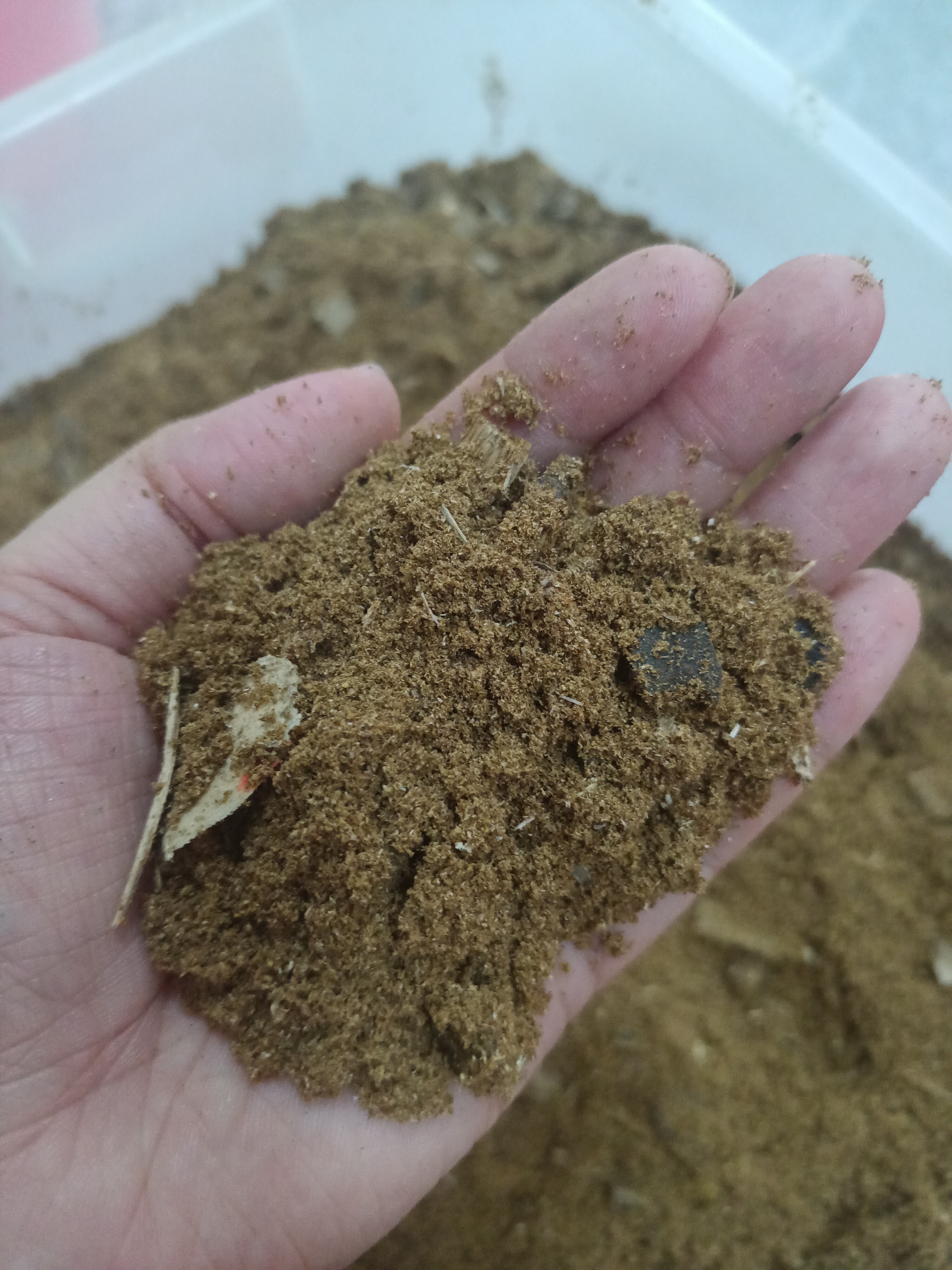 奇楠沉香原材料锯粉定制DIY