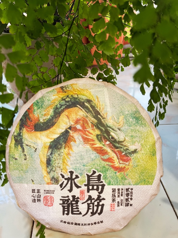 普洱新茶 冰岛龙筋生茶（拍五发六）