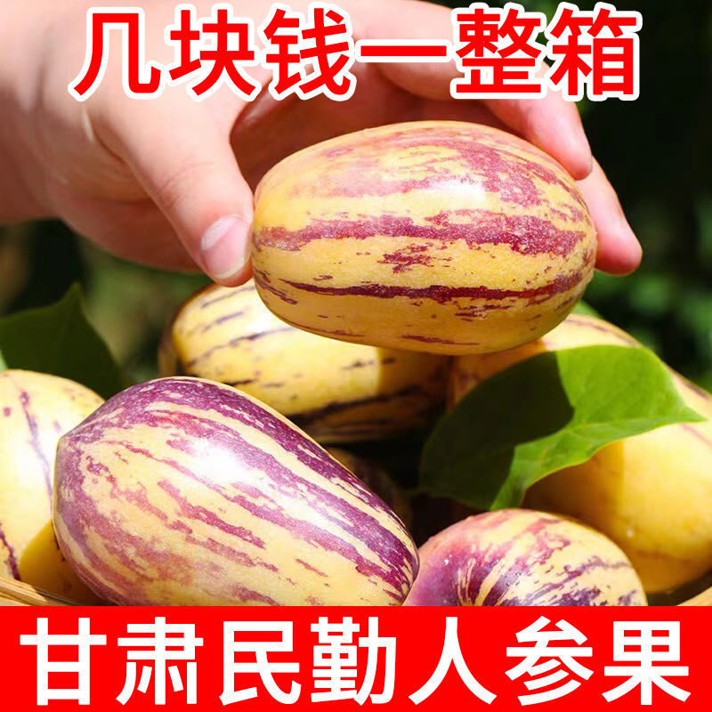 【阿高】人参果甘肃民勤当季新鲜水果孕妇黄肉非石林人生果应季10/