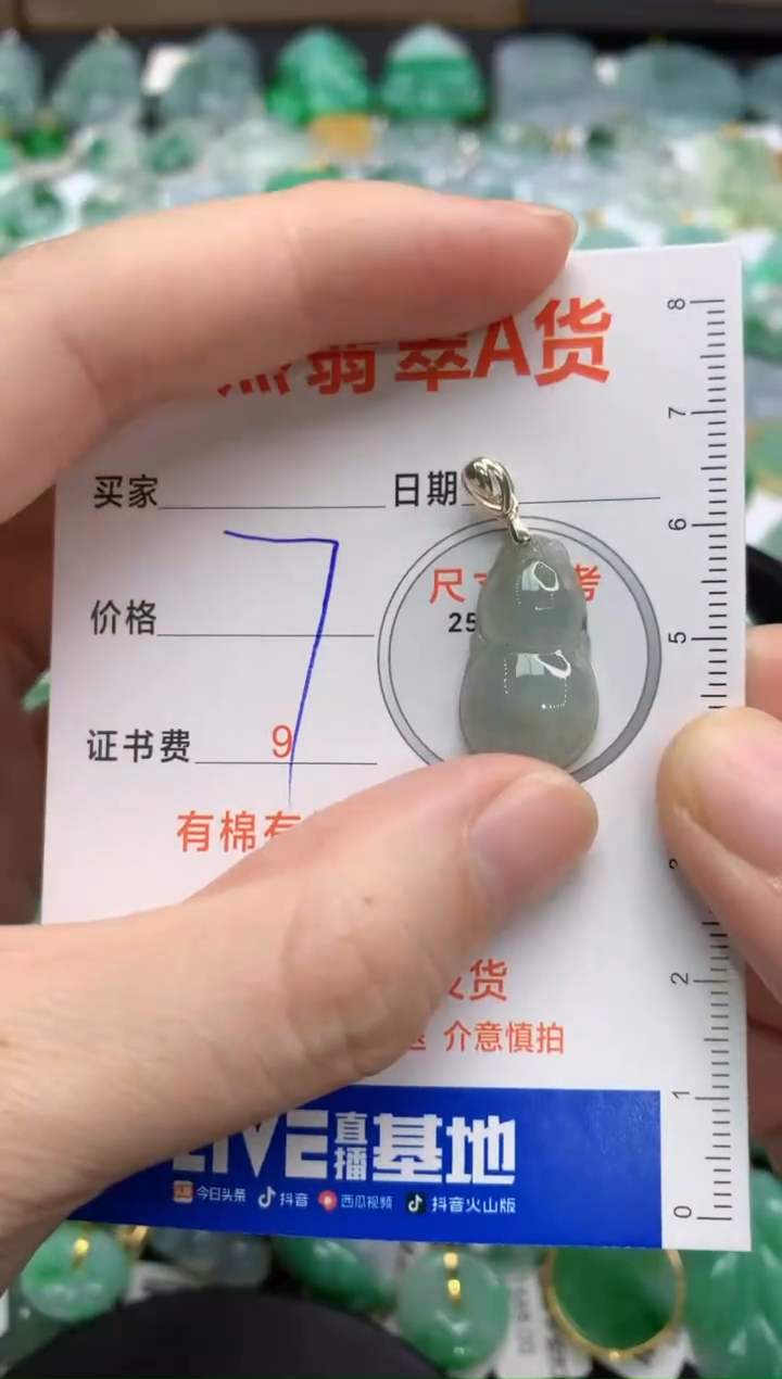 【闪购商品】翡翠颈饰银S925镶嵌6