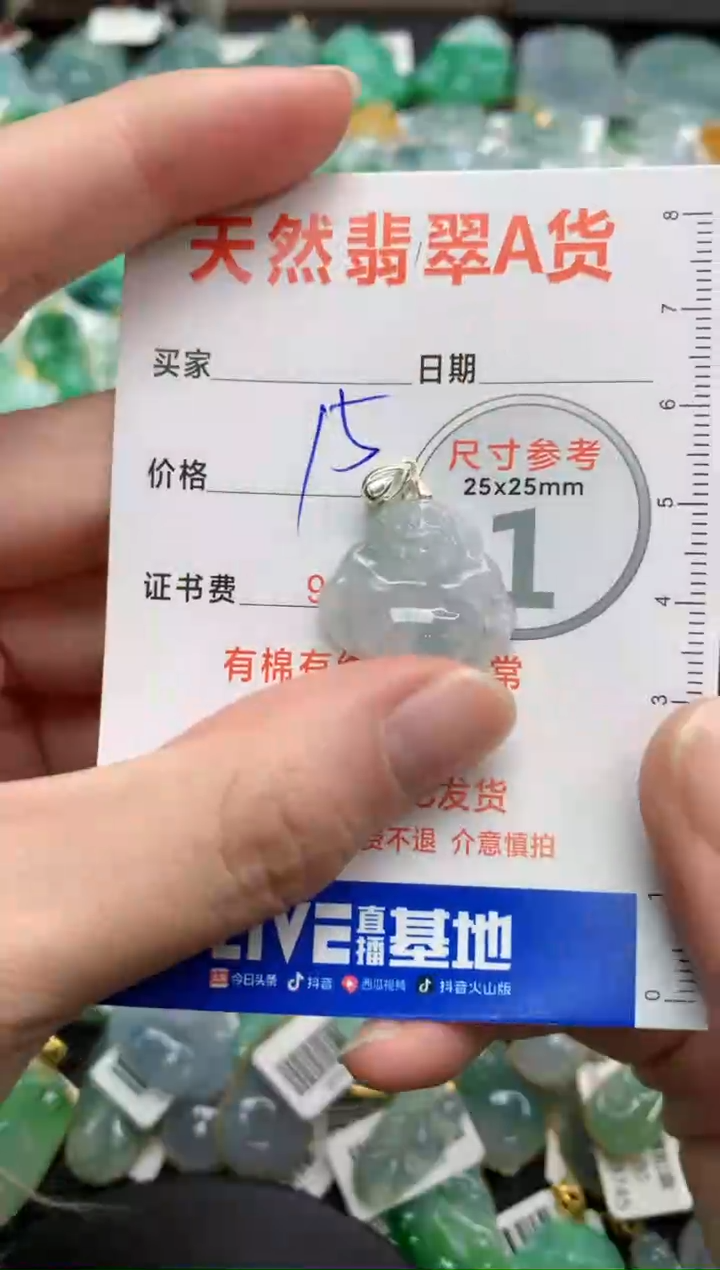 【闪购商品】翡翠颈饰银S925镶嵌25