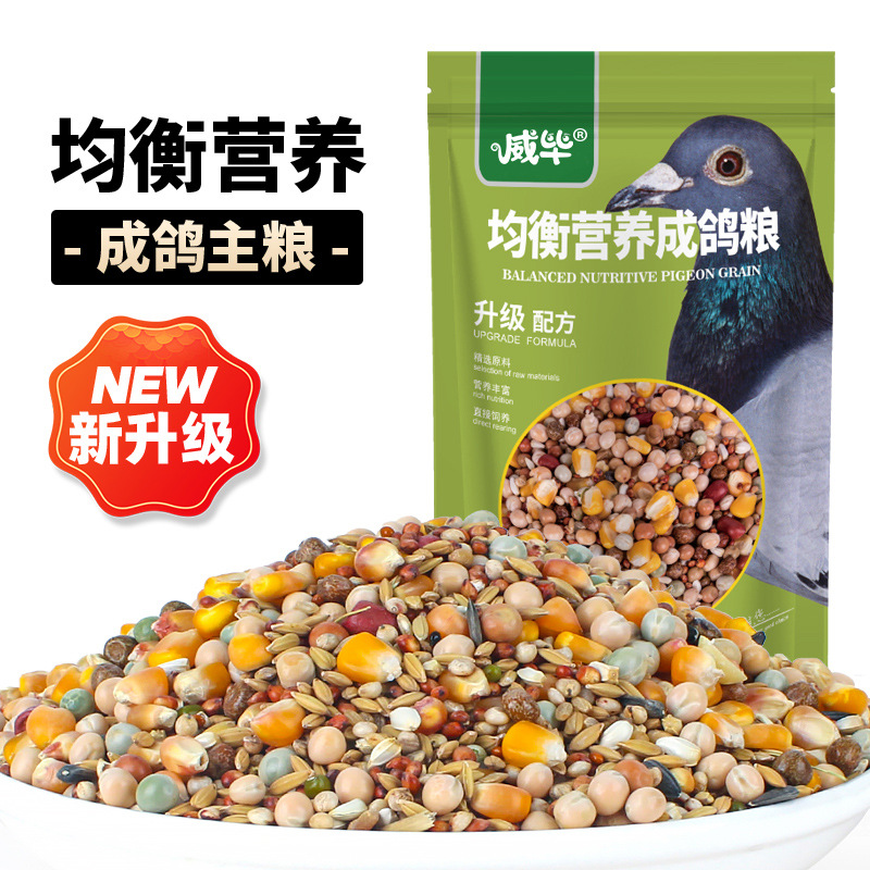 鸽粮营养鸽子饲料用品信鸽赛鸽种鸽带玉米小颗粒豌豆粮食鸟食