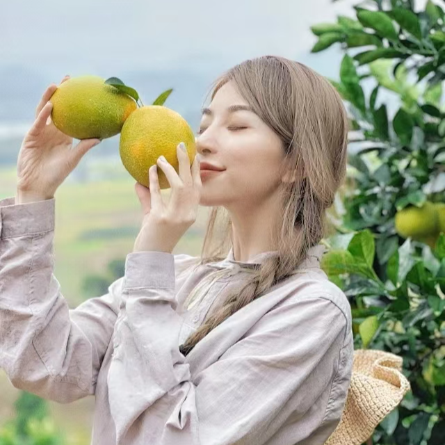 邬小蕾专属  赣南脐橙  5斤装