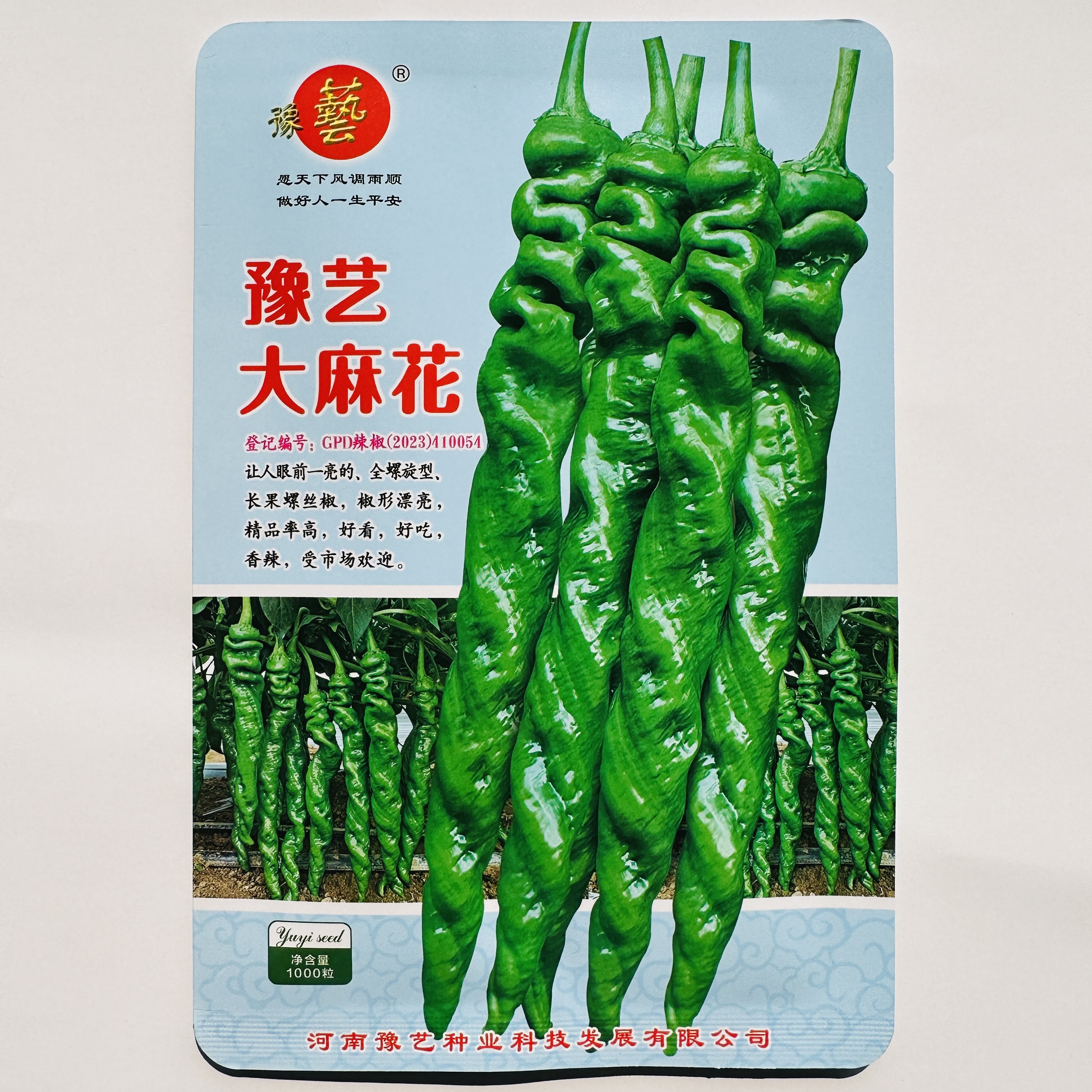 豫艺大麻花螺丝椒种子薄皮大果全螺旋高产优质辣椒适合南方大田播