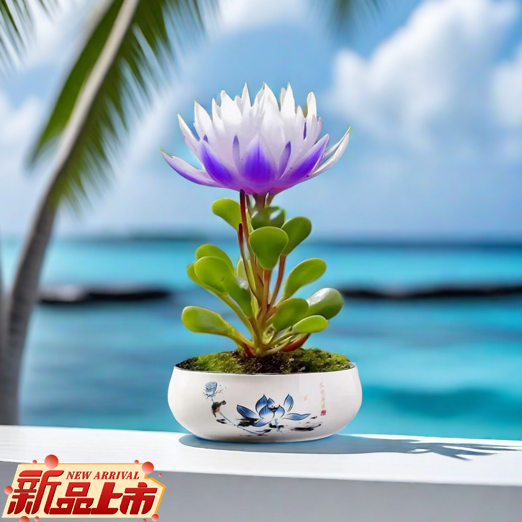 观赏驱蚊驱虫夏季浓香型大花福寿莲水养土养阳台盆栽花卉大全耐热