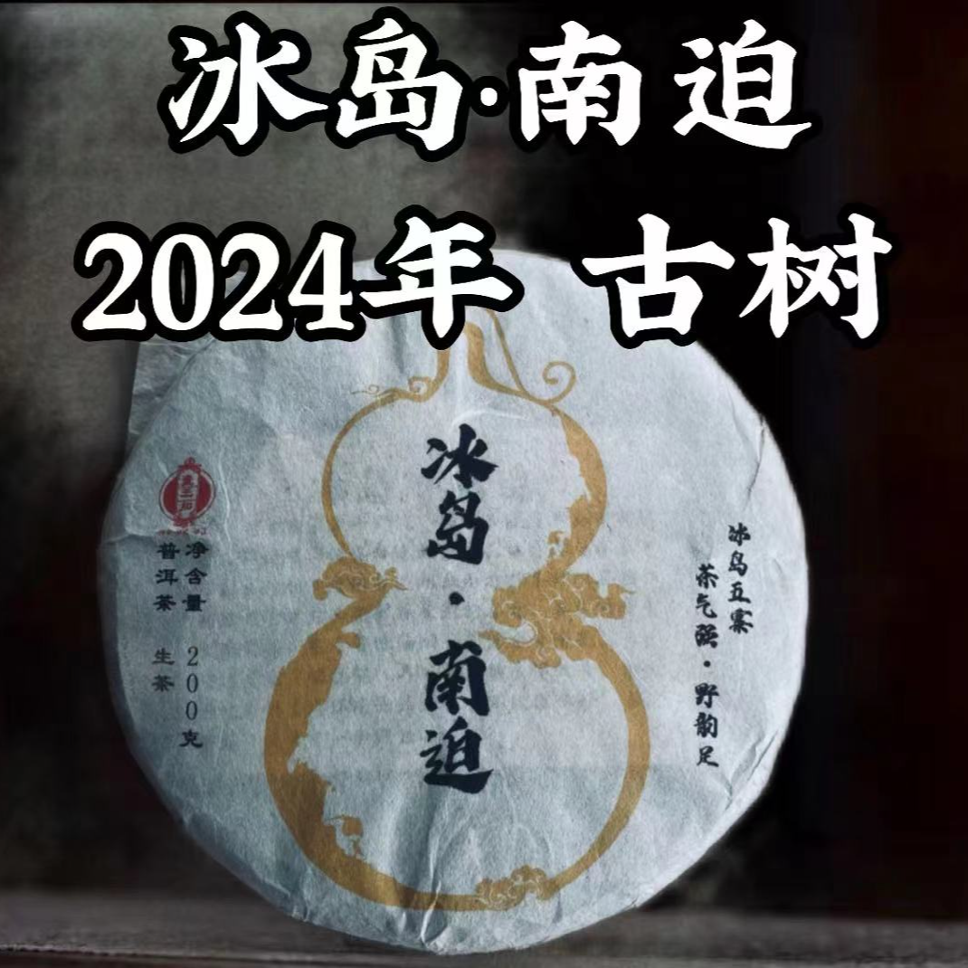 冰岛 南迫 2024年 古树 普洱茶 生茶