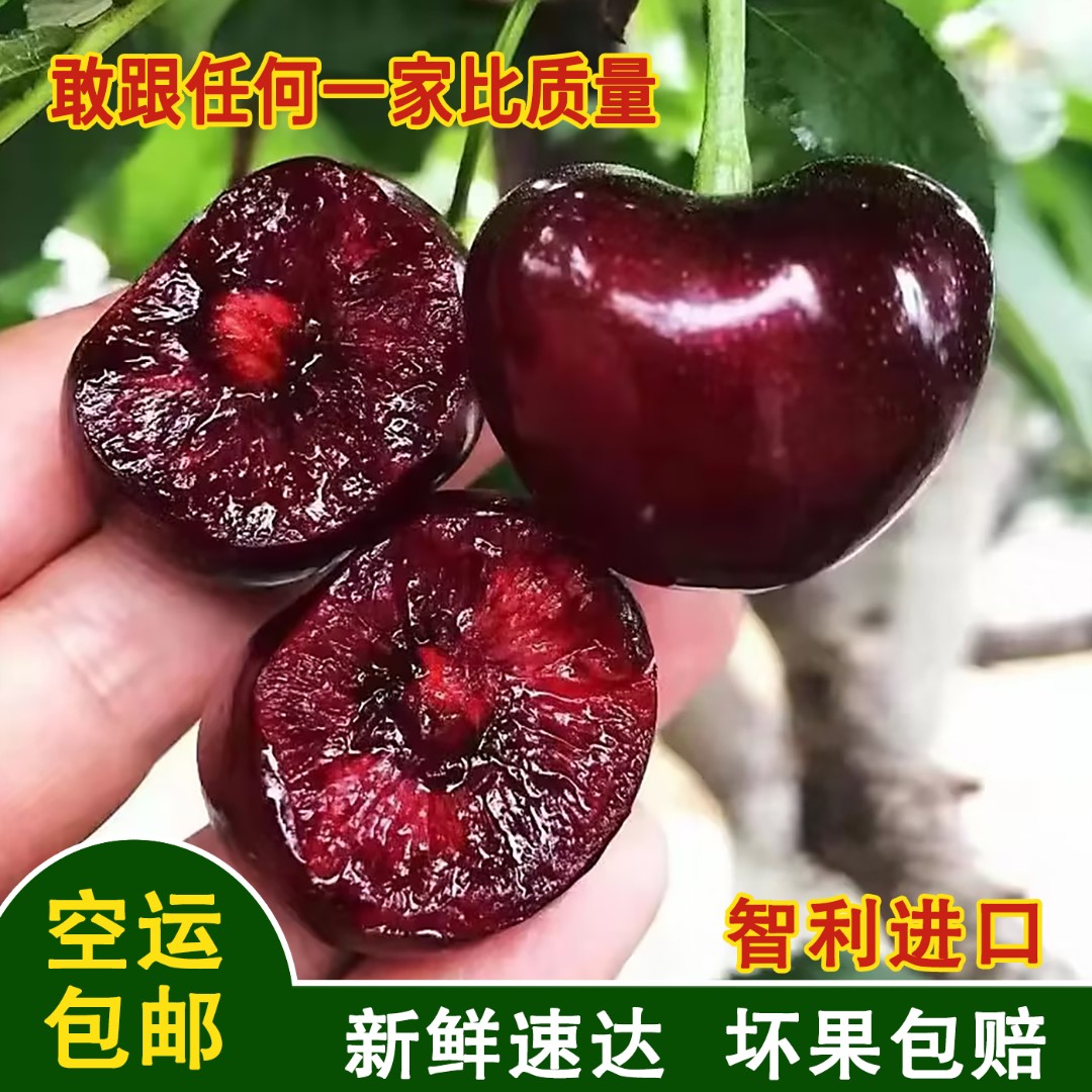 甄选桑提娜智利进口车厘子新鲜水果JJJ顺丰冷链包邮2合总11.1