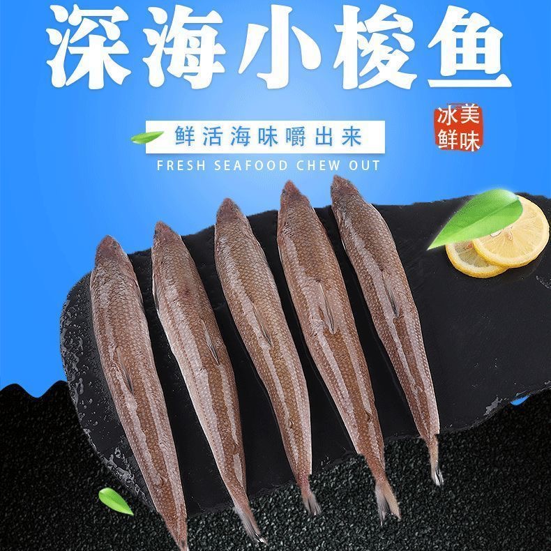 新鲜野生海捕香梭鱼。深海的香梭鱼。