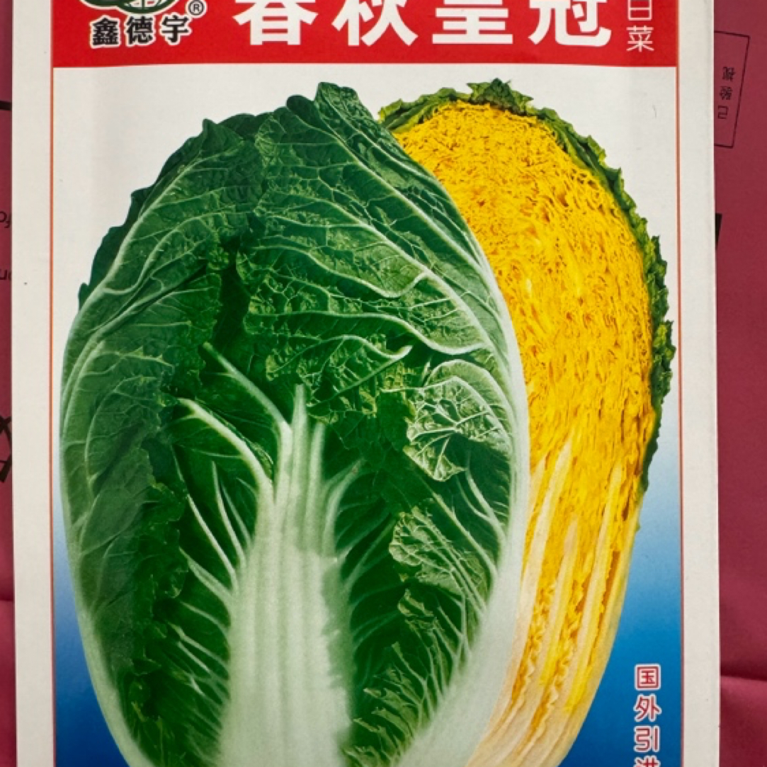 春秋皇冠春秋大黄心白菜籽