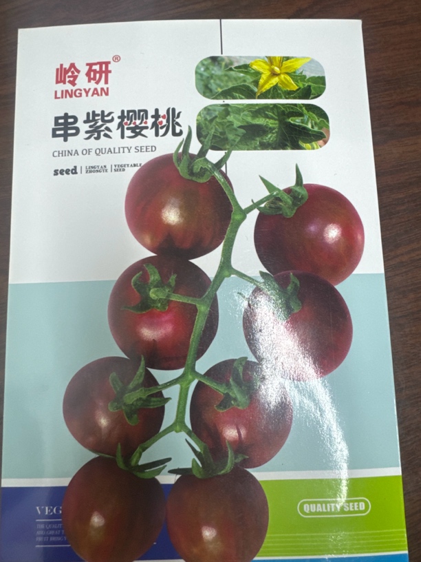 串紫樱桃柿子籽糖度高口感好