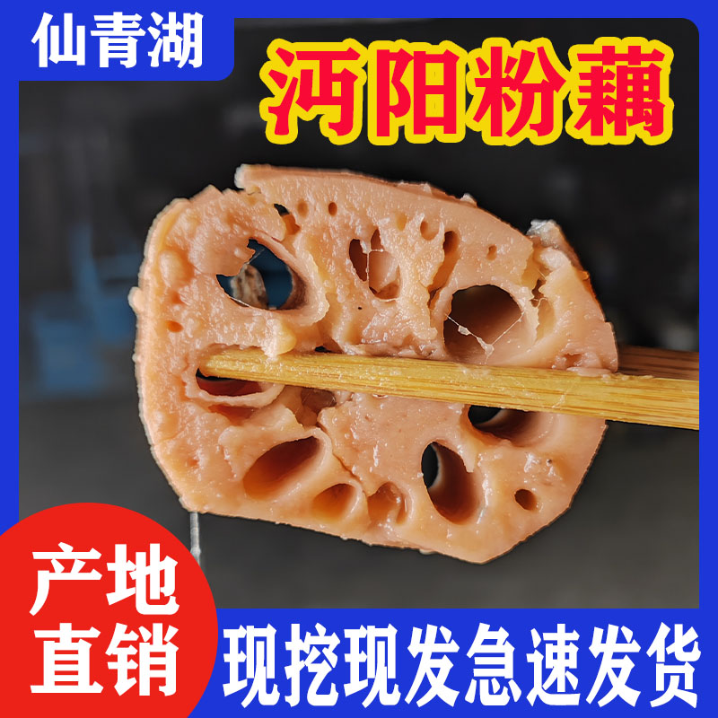 【直播专属】沔城粉藕煲汤粉藕3斤5斤包邮到家粉糯莲藕