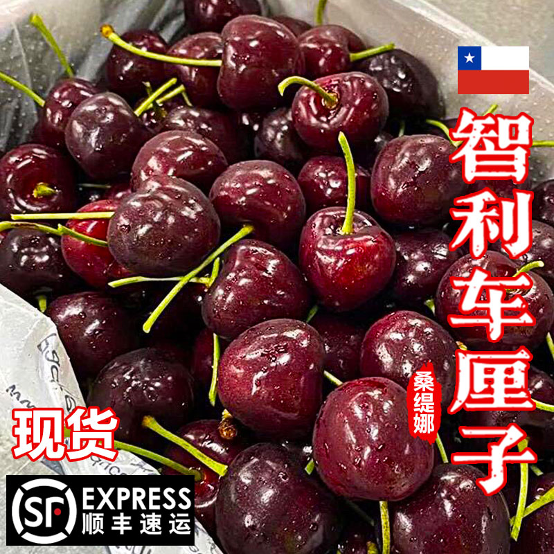 顺丰海运智利车厘子J-5J进口樱桃新鲜水果脆甜礼盒装内附果径卡