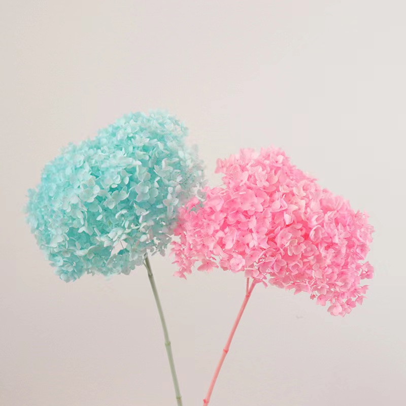 永生玫瑰花头客户专拍1