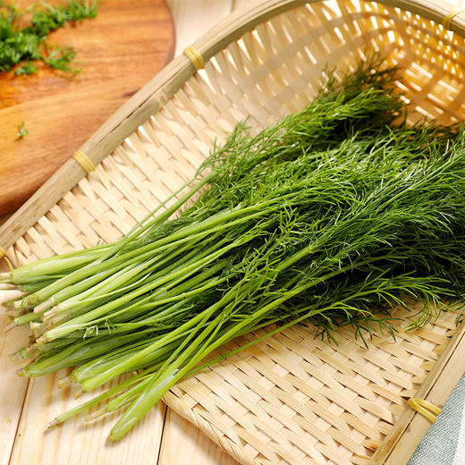 东北小茴香家乡的味道顺丰包邮新鲜农家茴香菜小茴香水饺馅蔬菜