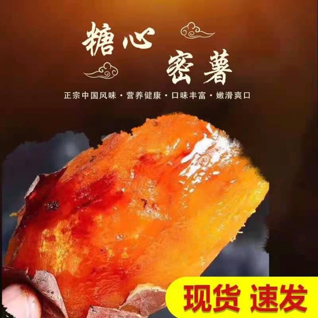 东北吉林梨树特产蜜薯地瓜每单3斤香甜糖心健康皮薄软糯新鲜红薯 