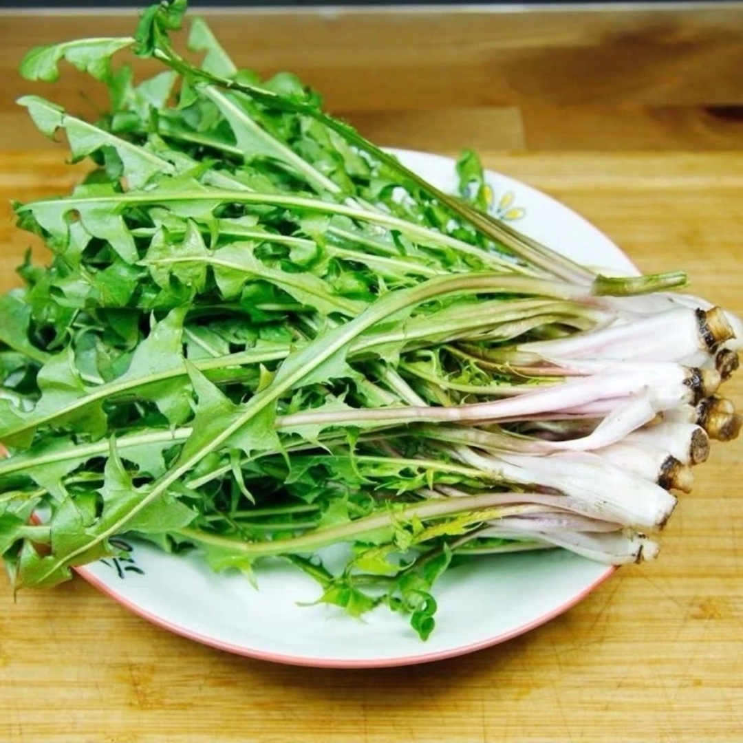 东北新鲜蔬菜蘸酱菜婆婆丁蒲公英顺丰空运包邮