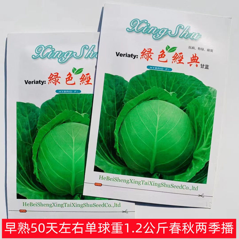 圆球甘蓝种子杂交早熟抗热抗病南方北方春夏秋三季播蔬菜甘蓝种籽