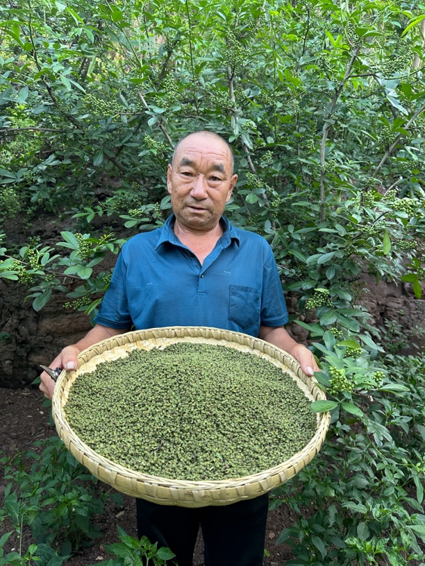 云南昭通特香特麻青花椒粒 藤椒 花椒粉 农家自种 2024头茬鲜货