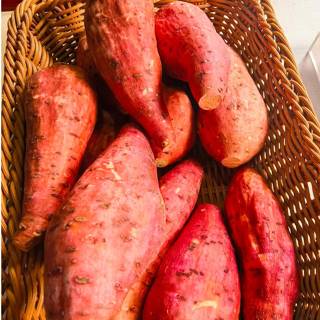 遂宁响水洞村 本地蜜薯