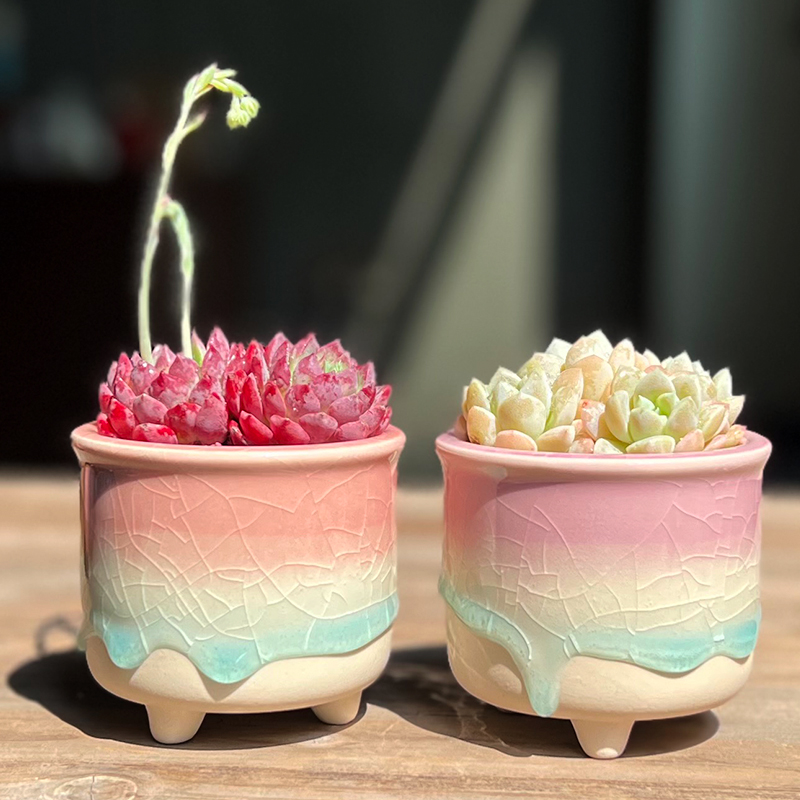清新多肉植物花盆简约冰裂纹流釉创意小花盆可爱韩式PP肉肉盆特价