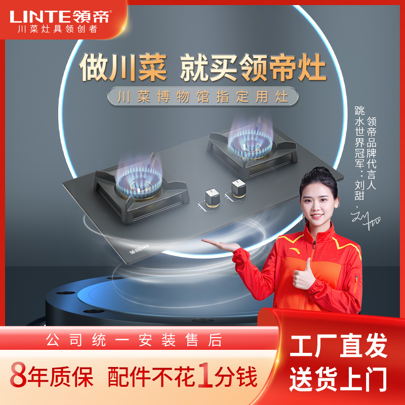 【厂家直销】川菜灶具S450双灶磨砂面板台嵌两用燃气灶具炉具燃气灶