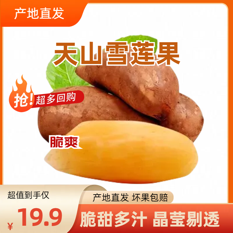 云南雪莲果清甜多汁脆嫩可口新鲜水果当季现挖发货5斤4-12个装