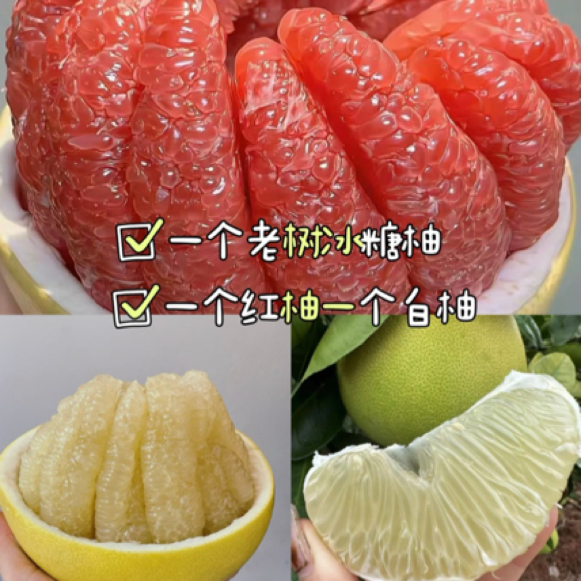 【泸定果品】柚子套餐B（冰糖柚红柚花皮白柚各一个约6斤）
