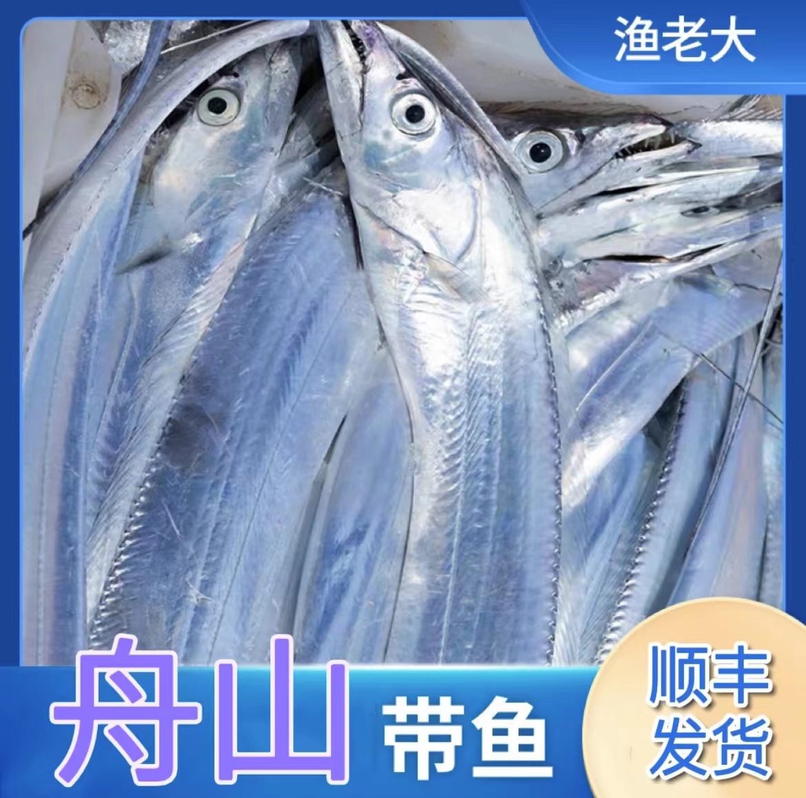 东海石浦海钓带鱼1.5斤