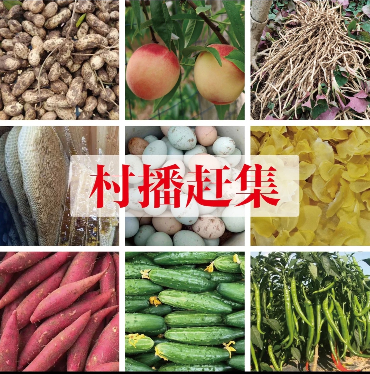 《波仔助农》代收特产 农货 鲜货 干货