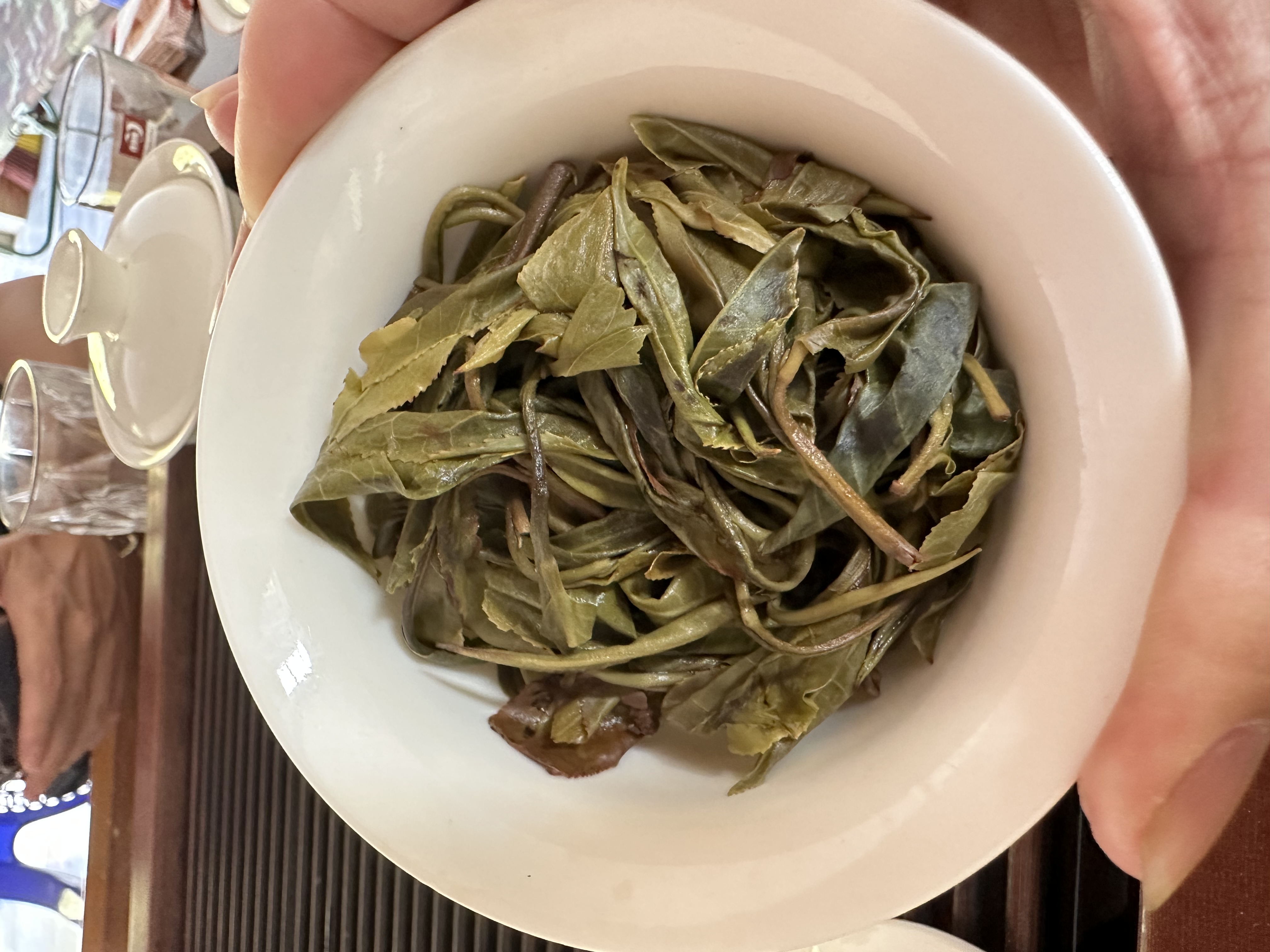 “陈永珍”2025易武凤凰窝正窝头春50克品鉴装！拆封不退！