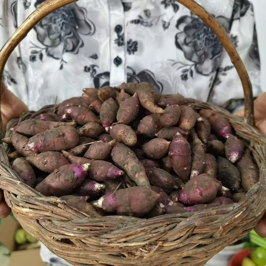 黑龙江野生新鲜姜不辣新鲜地环3斤一件包邮