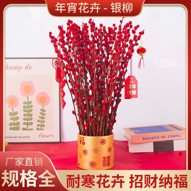 招财银柳真花鲜枝春节年宵花卉水培植物干花红色银柳客厅室内装饰