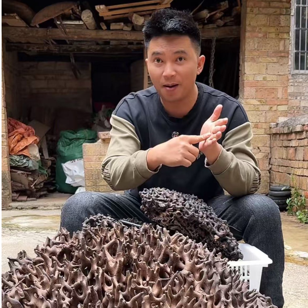 云南山货一物一拍A 包邮