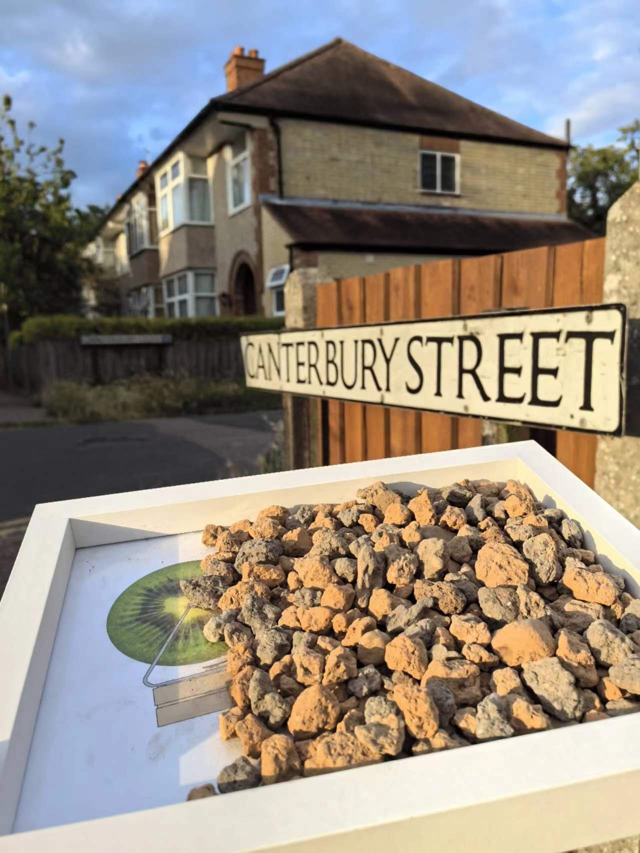 紫安盆景颗粒土生根营养土松柏栀子花兰花榔榆雀梅多肉杜鹃寿娘子