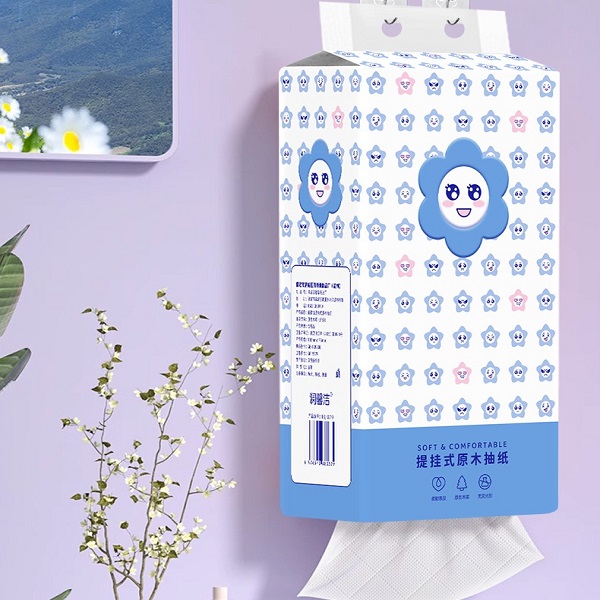 【超值福利 悬挂1提】由> 收纳盒 > 纸巾盒厂家提供