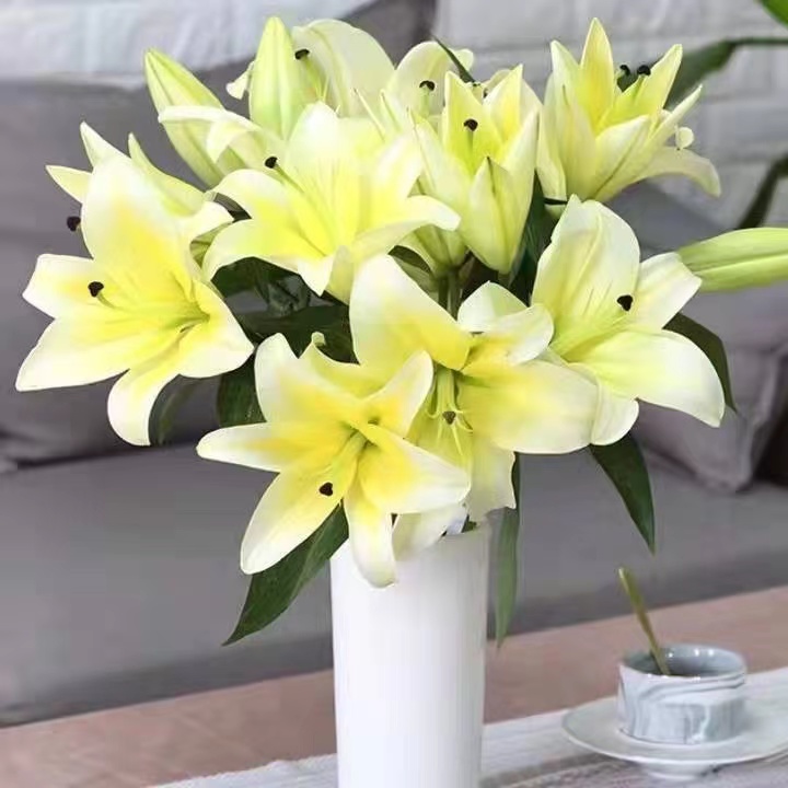 云南昆明基地现采直发多头香水百合水养插花鲜切花盒子