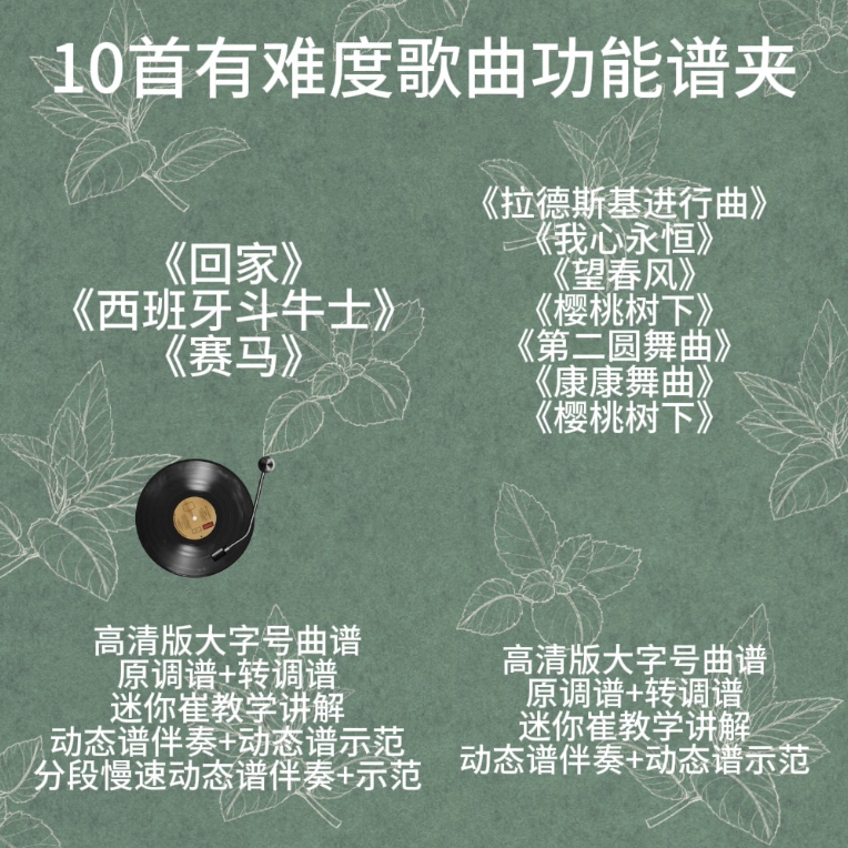 10首有难度歌曲的谱夹子