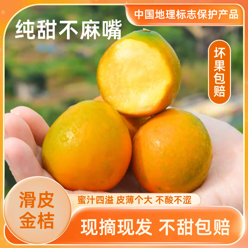 广西  正宗融安二代滑皮金桔新鲜水果 香甜少核金桔 送礼水果